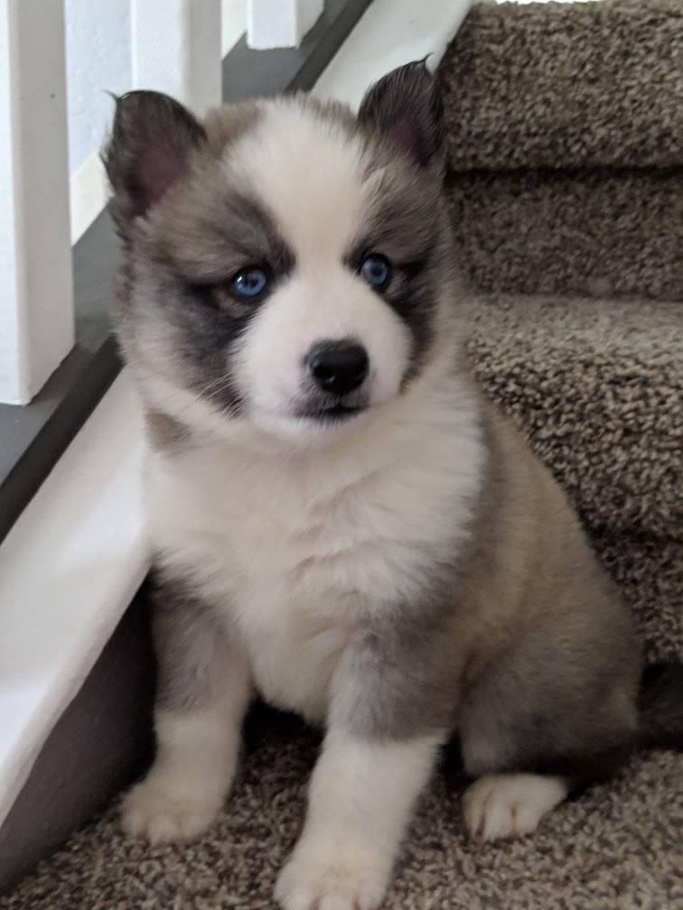 Baxter