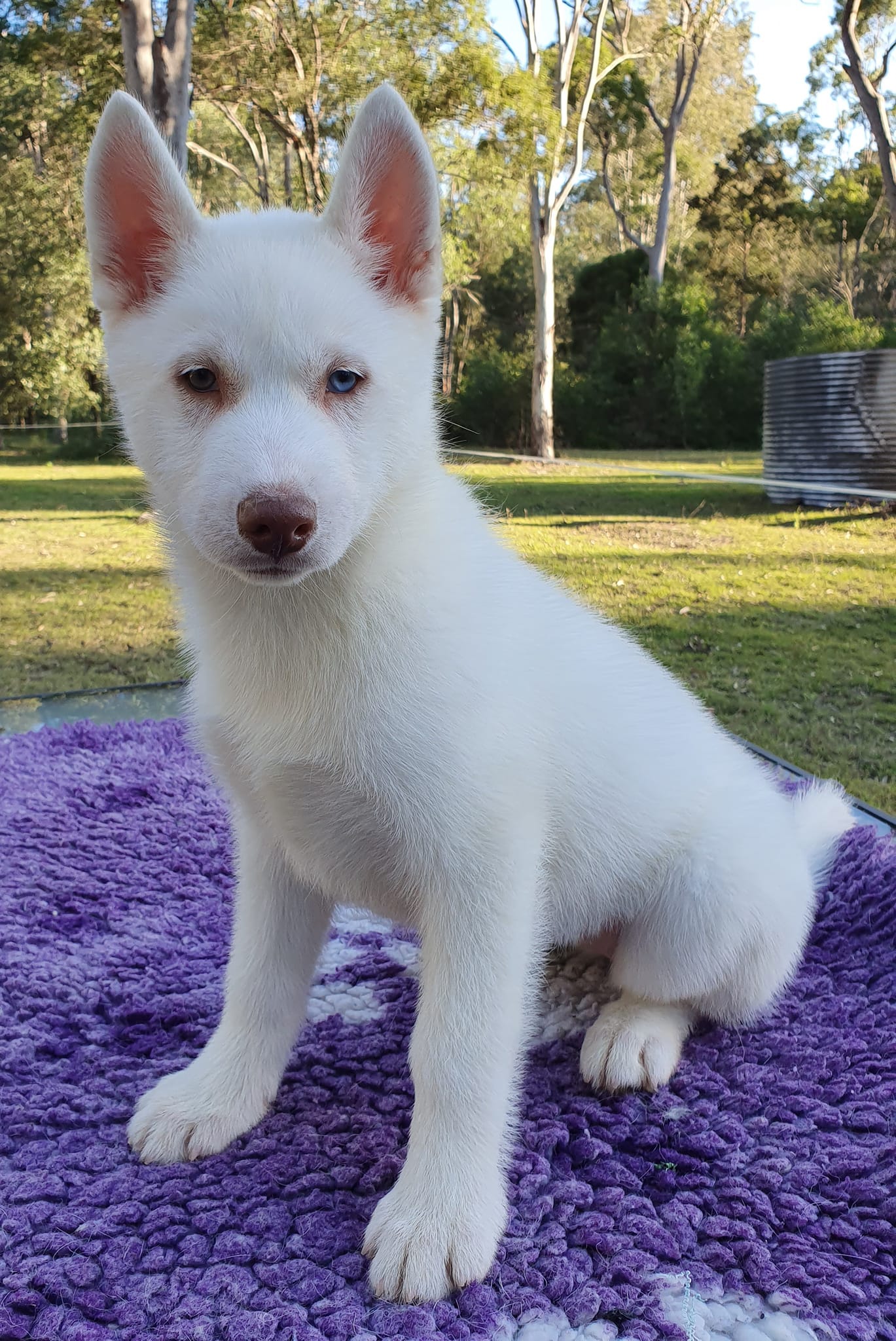 Bonnie